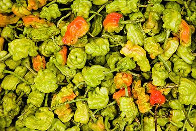 PC掌机逐渐在习惯主机+电视日本流行 连带PC玩家剧增